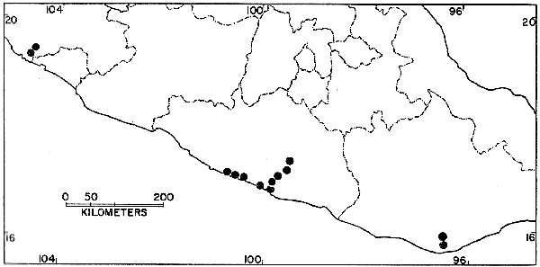 Map Locality - Hyla sartori Map Locality - Hyla sartori