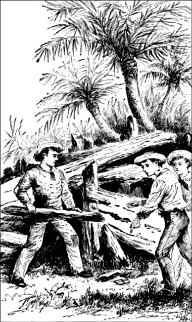 Harry sprung forward with a shout as he pointed to a small
dark object.&mdash;(see page 155.)