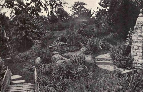 PLATE 129 The rock garden, "Englishton Park," Lexington, Ind. Mrs. W.&nbsp;E. English