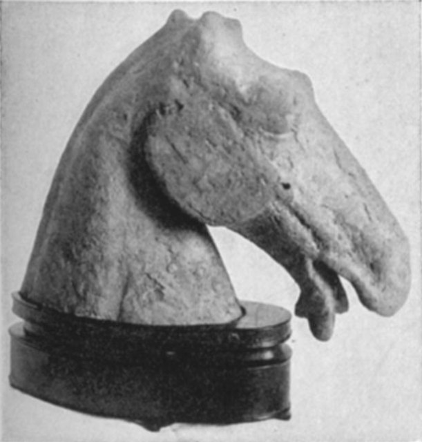 Horse's Head. Han Period Horse's Head. Han Period