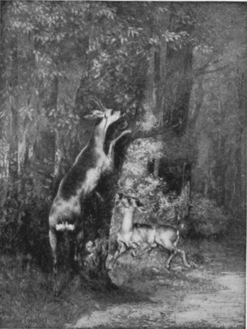 The Roe Covert. Gustave Courbet, 1819-1877 The Roe Covert. Gustave Courbet, 1819-1877