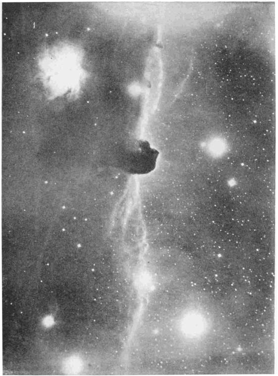 A
 DARK NEBULA