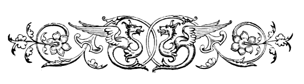 Sektion 5 Kopf