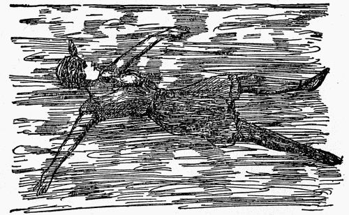 "Push your legs down and as far apart as they will go. Bring the
arms in a steady sweep down to the sides."