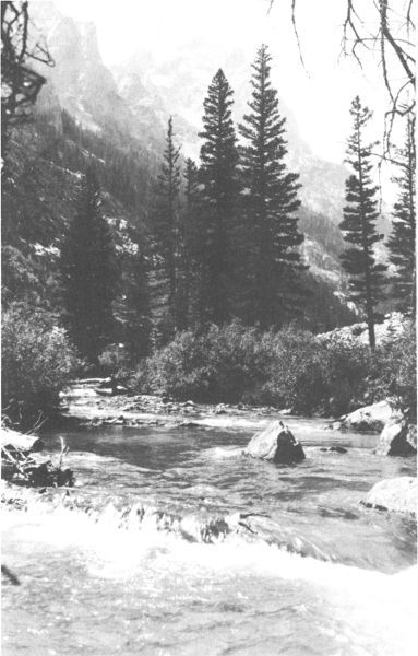 THE ICY WATERS OF CASCADE CANYON

Copyright, Crandall.