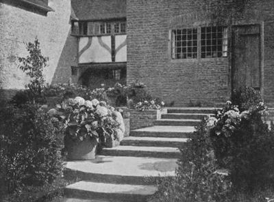 Hydrangeas in Tubs, in a part of the same Garden.