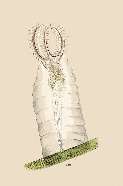 i121