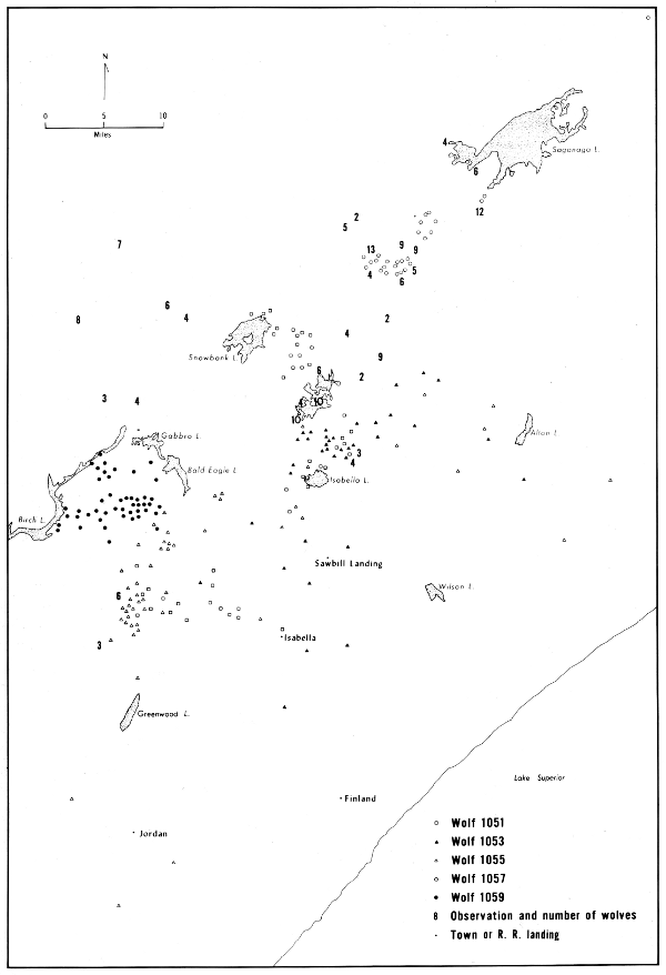 Figure 35.&mdash;Locations of all radiotagged wolves and unmarked packs observed
during winter 1968-69, except dispersal of 1051 out of the study area.
Only selected lakes shown.
