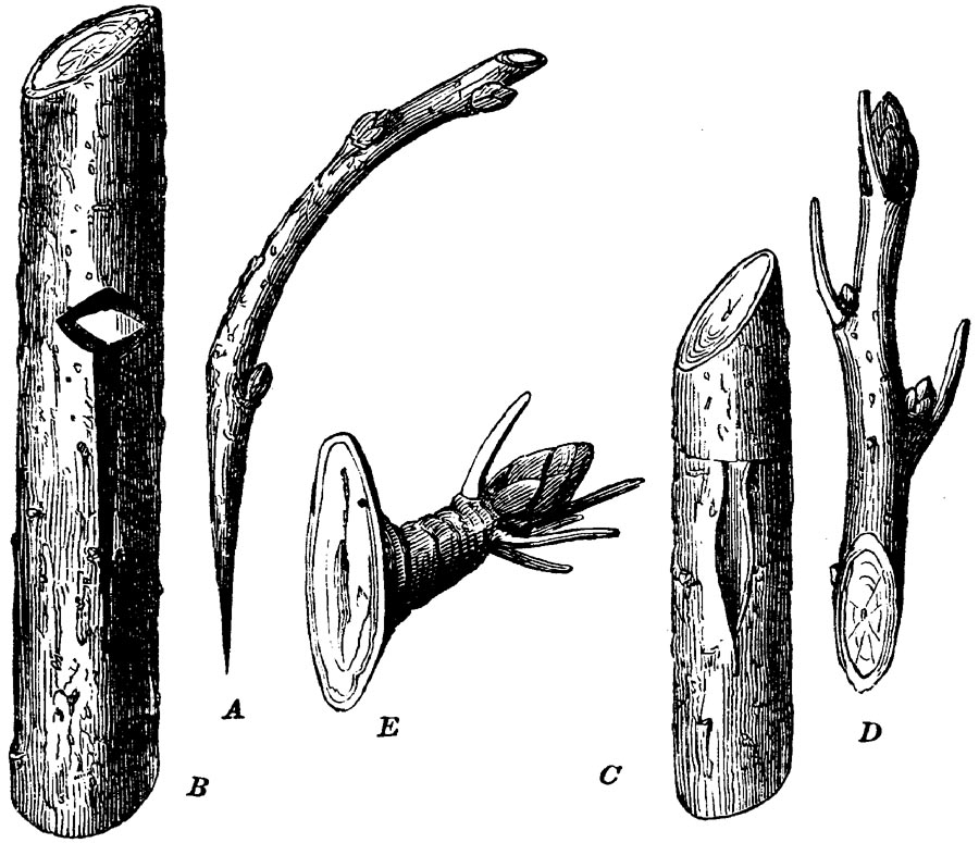 Figure 13