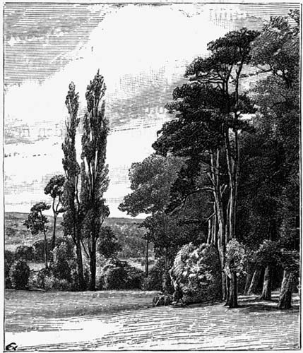 Golder's Hill,
Hampstead
