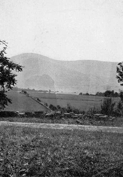 THE OLD STONE WALL IN FRONT OF THE BURROUGHS HOME,
BUILT BY DEACON SCUDDER. THE CATSKILLS
DIMLY SHOW IN THE DISTANCE