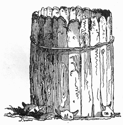 Fig. 5.&mdash;"The ark of the first man."