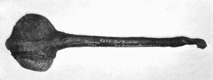b. Heavy stone maul with handle attached. "Yankton Sioux. Fort Berthold. Drs. Gray and
Matthews, U. S. A." Extreme length about 2 feet 2 inches. (U.S.N.M. 6325)