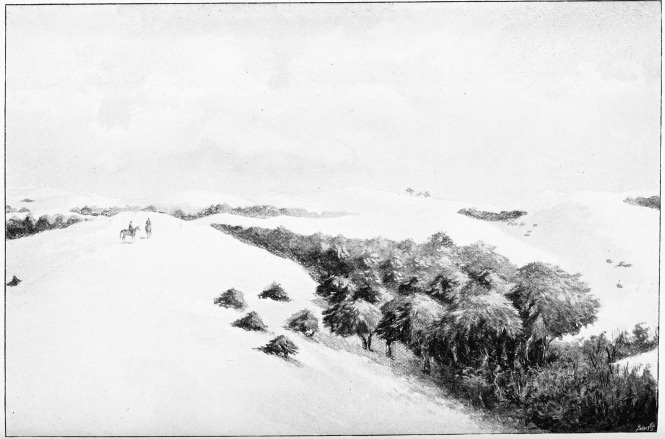Plate XXXI.

SAND-DUNES AND CORRALES OF DO�ANA.

Page 245.