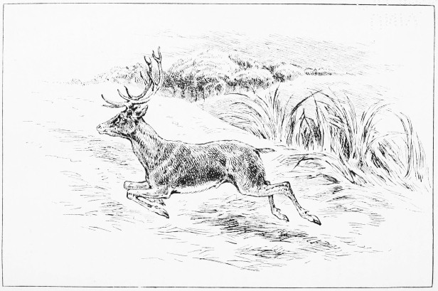 Plate XLIII.

A SHOT IN THE OPEN.

Page 367.