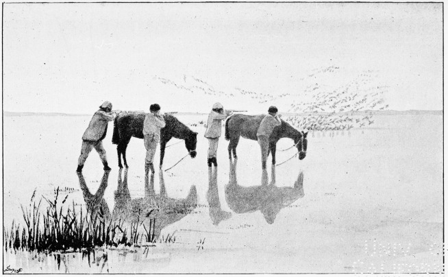 Plate XLVI.

WILDFOWLING WITH CABRESTOS. No. 2.&mdash;THE SHOT.

Page 374.