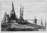 Photo: J. W. Tyrrell, 1900.
WEST SHORE, ARTILLERY LAKE
IN LAT. 62� 56'