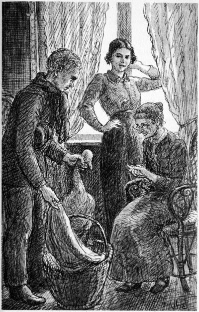 Illustration