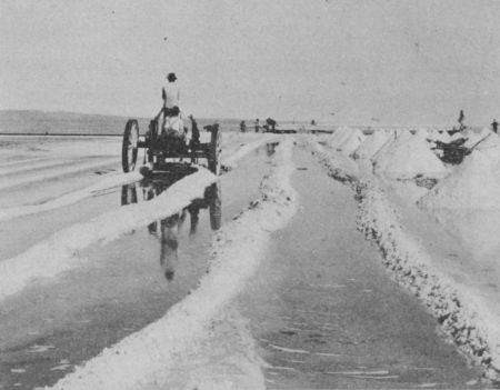 Fig. 32.&mdash;Loading Cars with Salt. Salton, California.
