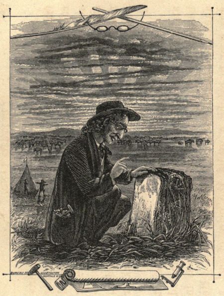 THE PROFESSOR&mdash;A REMARKABLE STONE.