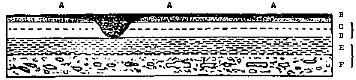 [Illustration:
Section of the strata exhibited in the cliffs of the ninety feet plain at Port
S. Julian.]
