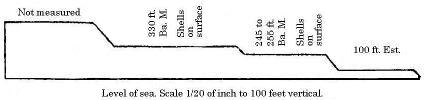 [Illustration:
Section of plains at Port Desire.]