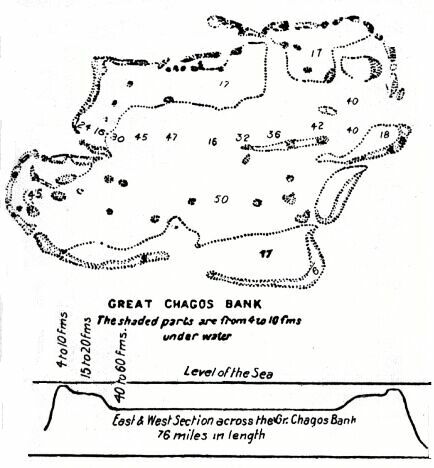 [Illustration:
Great Chagos Bank]