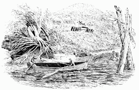 FIG. 65.&mdash;Birth-place of Bewick. His last vignette,
portraying his own funeral.