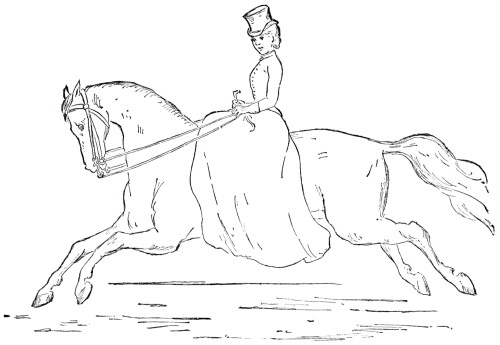 Fig. 32.&mdash;The Flying Gallop.