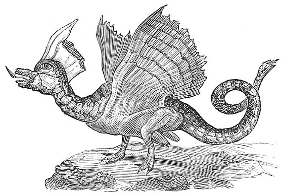 Fig. 26.&mdash;Swan-Dragon (French).