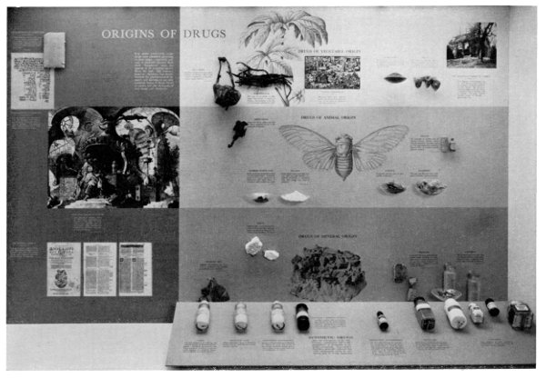 Figure 24.