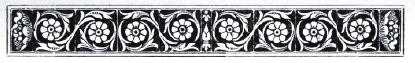 decoraci�n