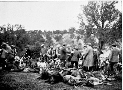 THE DAY’S RESULTS.

Royal Shooting at the Pardo, near Madrid.