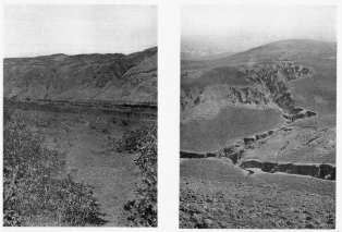 Fig. 123&mdash;Mature slopes between Ollantaytambo and
Urubamba.