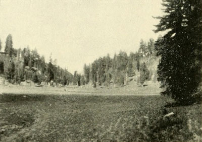 One of the Parks on
the Kaibab.
