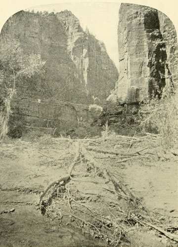 Mukoontuweap Canyon,
North Fork of the Virgen.