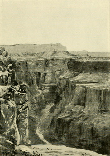 Looking up the Grand
Canyon, at the Foot of Toroweap, Uinkaret Division.