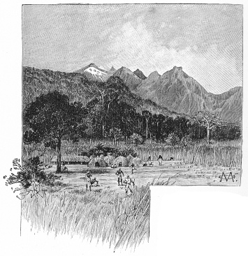 VIEW OF RUWENZORI FROM BAKOKORO WESTERN CONES. VIEW OF RUWENZORI FROM BAKOKORO WESTERN CONES.