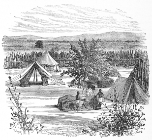 VIEW FROM MACKAY’S MISSION, LAKE VICTORIA (from a photograph). VIEW FROM MACKAY’S MISSION, LAKE VICTORIA (from a photograph).
