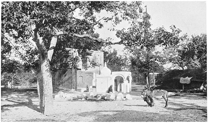 SHRINE OF S&Icirc;TAL&Acirc; AND DISEASE GODLINGS.