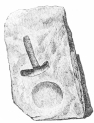 No. 46. A Mould of Mica-schist for casting Copper
Implements (8 M.).