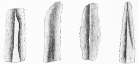 No. 58. No. 59. No. 60. No. 61.

Stone Implements of the earliest Settlers (11 and 14 M.).

Nos. 56 and 57. An Axe and Hammer of Diorite. Nos. 58, 59, 60. Knives of
White Silex.

No. 61. Probably an Arrow-head.
