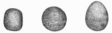 Nos. 122, 123, 124. Balls of fine red Agate; from the
Trojan Stratum (9 M.).