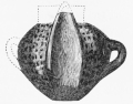 No. 224. Fine decorated Vase of Terra-Cotta, with two
Handles and two great upright Wings. From the Palace (7½ M.).