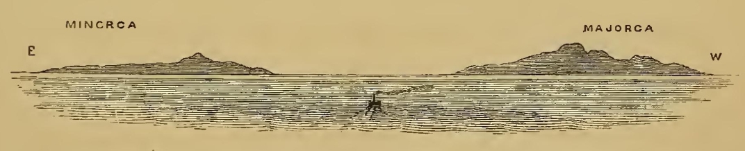 0029m