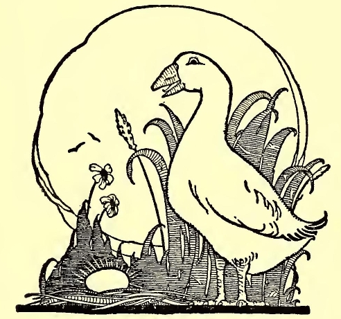 0019m