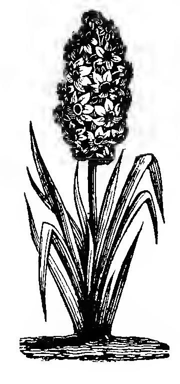 0053m