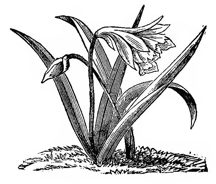 0106m