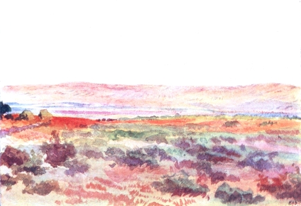 THE PLAIN OF THE JORDAN, LOOKING FROM “NEW JERICHO”
TOWARDS MOUNT PISGAH

Wild vegetation in the plain. Mountains of Moab in distance. The slight
eminence in their straight sky-line to extreme left is Mount Pisgah.
Sunset.