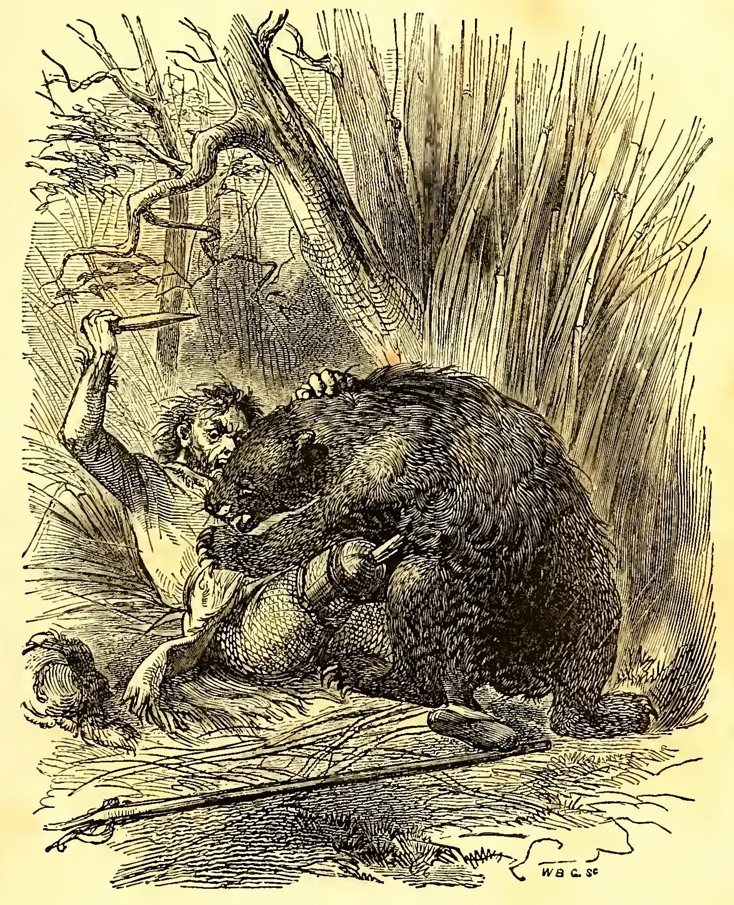 frontispiece2m